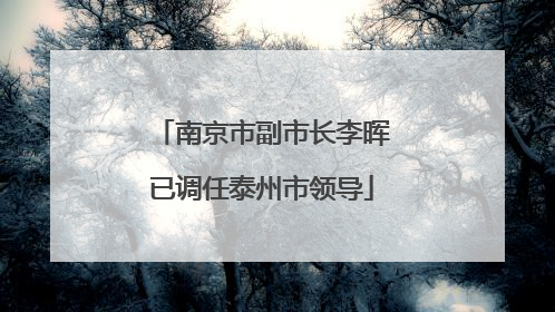 南京市副市长李晖已调任泰州市领导