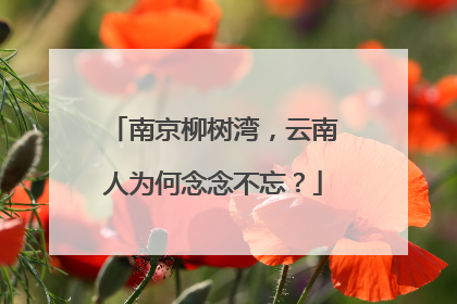 南京柳树湾，云南人为何念念不忘？