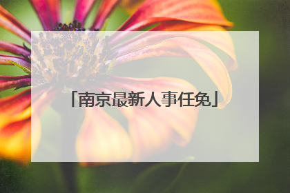 南京最新人事任免