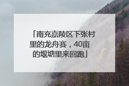 南充嘉陵区下张村里的龙舟赛，40亩的堰塘里来回跑