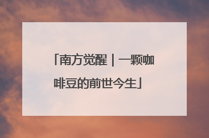 南方觉醒｜一颗咖啡豆的前世今生