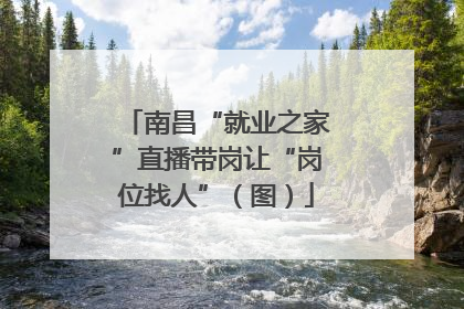 南昌“就业之家”直播带岗让“岗位找人”（图）