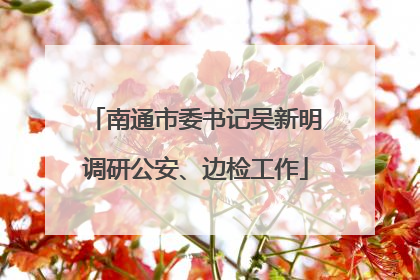 南通市委书记吴新明调研公安、边检工作