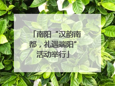 南阳“汉韵南都，礼遇端阳”活动举行