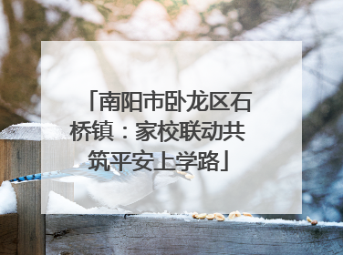 南阳市卧龙区石桥镇：家校联动共筑平安上学路