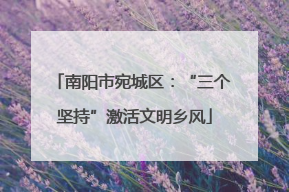 南阳市宛城区：“三个坚持”激活文明乡风