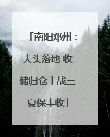 南阳邓州：大头落地 收储归仓丨战三夏保丰收