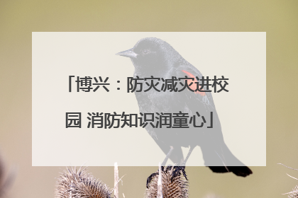 博兴：防灾减灾进校园 消防知识润童心
