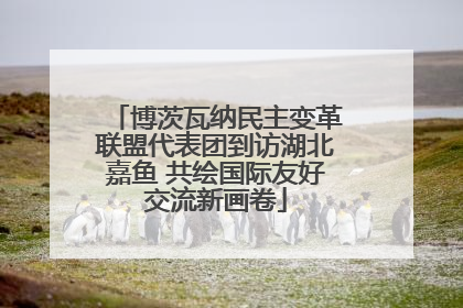 博茨瓦纳民主变革联盟代表团到访湖北嘉鱼 共绘国际友好交流新画卷