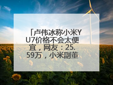 卢伟冰称小米YU7价格不会太便宜，网友：25.59万，小米副董事：不行！
