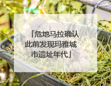 危地马拉确认此前发现玛雅城市遗址年代