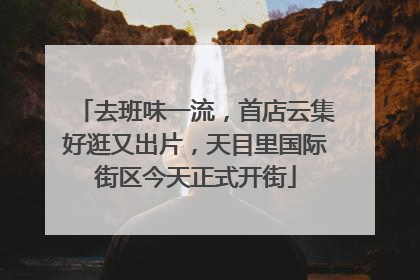去班味一流，首店云集好逛又出片，天目里国际街区今天正式开街