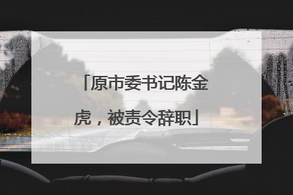 原市委书记陈金虎，被责令辞职