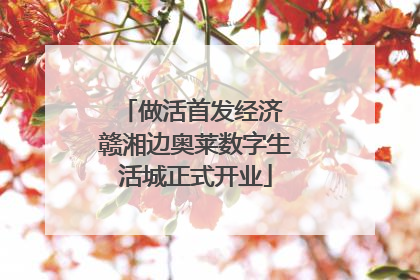做活首发经济 赣湘边奥莱数字生活城正式开业