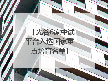 光谷6家中试平台入选国家重点培育名单