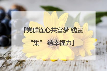 党群连心共富梦 钱景 “集” 结幸福力