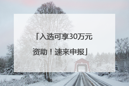 入选可享30万元资助！速来申报