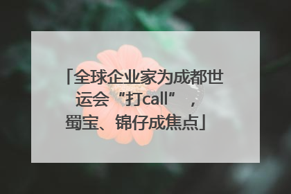 全球企业家为成都世运会“打call”，蜀宝、锦仔成焦点