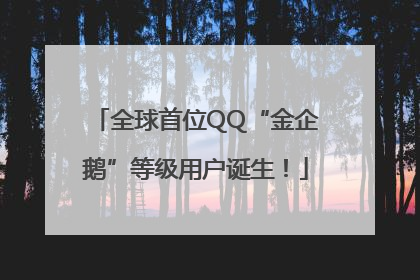 全球首位QQ“金企鹅”等级用户诞生！