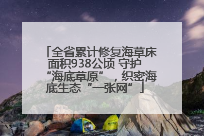 全省累计修复海草床面积938公顷 守护“海底草原”，织密海底生态“一张网”