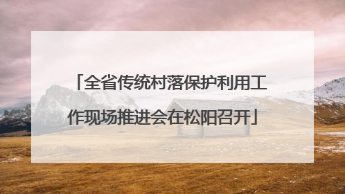 全省传统村落保护利用工作现场推进会在松阳召开