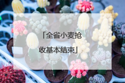 全省小麦抢收基本结束