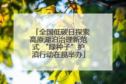 全国低碳日探索高原湖泊治理新范式 “绿种子”护滇行动在昆举办