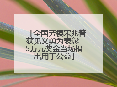 全国劳模宋兆普获见义勇为表彰 5万元奖金当场捐出用于公益