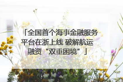 全国首个海事金融服务平台在浙上线 破解航运融资“双重困境”