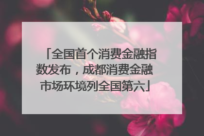全国首个消费金融指数发布，成都消费金融市场环境列全国第六