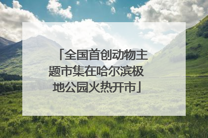 全国首创动物主题市集在哈尔滨极地公园火热开市