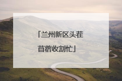 兰州新区头茬苜蓿收割忙