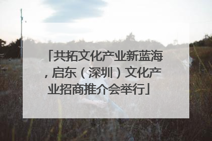 共拓文化产业新蓝海，启东（深圳）文化产业招商推介会举行