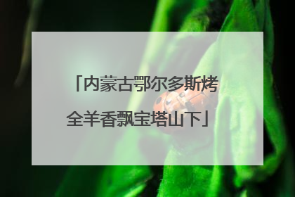 内蒙古鄂尔多斯烤全羊香飘宝塔山下