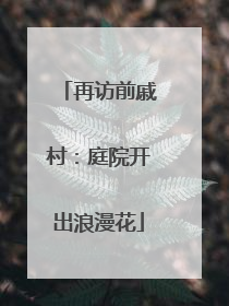 再访前戚村：庭院开出浪漫花