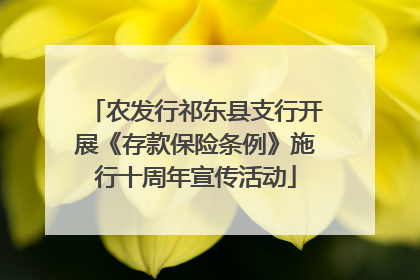 农发行祁东县支行开展《存款保险条例》施行十周年宣传活动