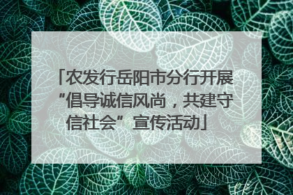 农发行岳阳市分行开展“倡导诚信风尚，共建守信社会”宣传活动