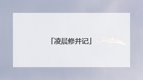 凌晨修井记