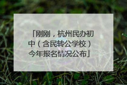 刚刚，杭州民办初中（含民转公学校）今年报名情况公布