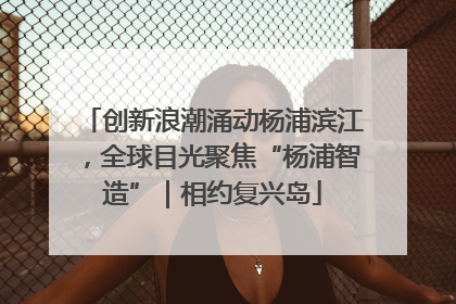 创新浪潮涌动杨浦滨江，全球目光聚焦“杨浦智造”｜相约复兴岛