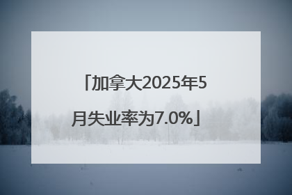 加拿大2025年5月失业率为7.0%