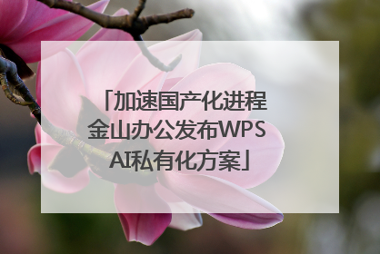 加速国产化进程 金山办公发布WPS AI私有化方案