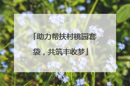 助力帮扶村桃园套袋，共筑丰收梦
