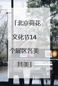 北京荷花文化节14个展区各美其美