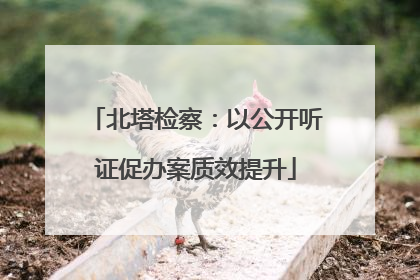 北塔检察：以公开听证促办案质效提升