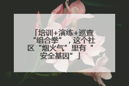培训+演练+巡查“组合拳”，这个社区“烟火气”里有“安全基因”