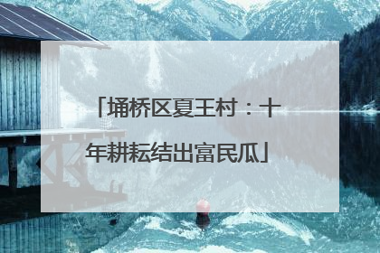 埇桥区夏王村：十年耕耘结出富民瓜