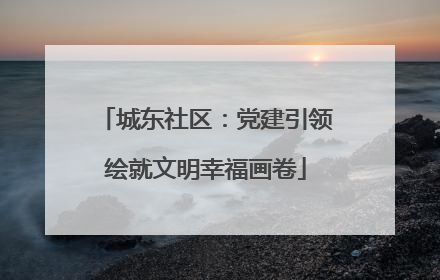 城东社区：党建引领绘就文明幸福画卷