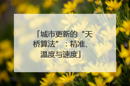 城市更新的“天桥算法”：精准、温度与速度