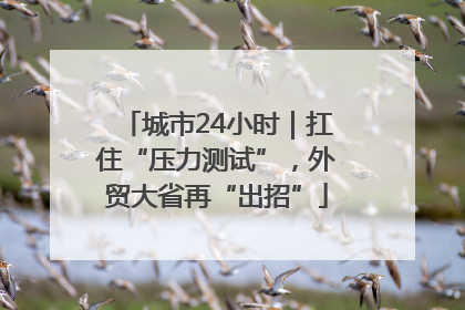 城市24小时｜扛住“压力测试”，外贸大省再“出招”